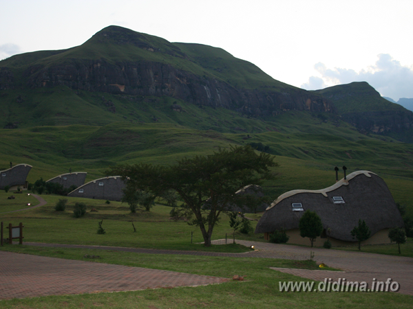 Didima Camp chalets surrounded by green mountain scenery in the Central Drakensberg