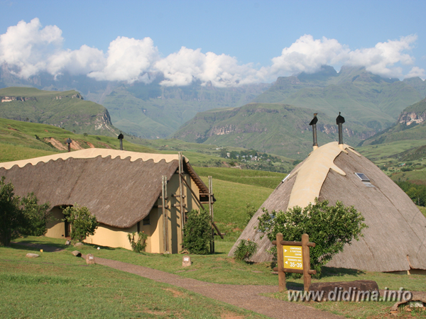 Thatched chalets with pathways and mountain views at Didima Camp in the Central Drakensberg
